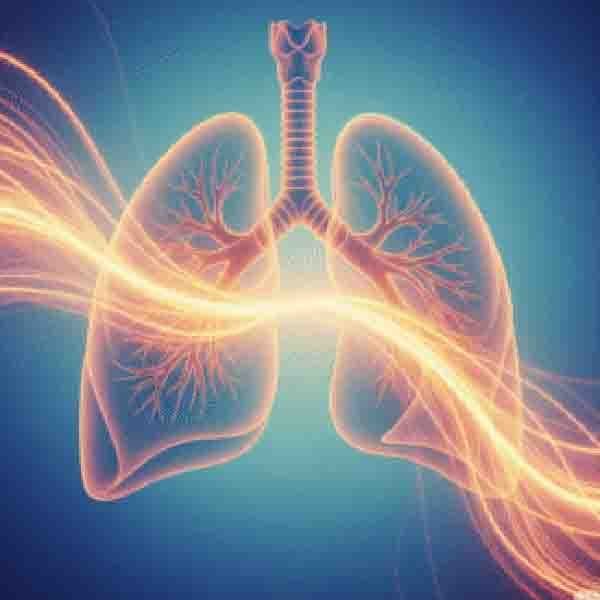 సరైన శ్వాస : మీ అంతర్గత శక్తికి రహస్య ద్వారం