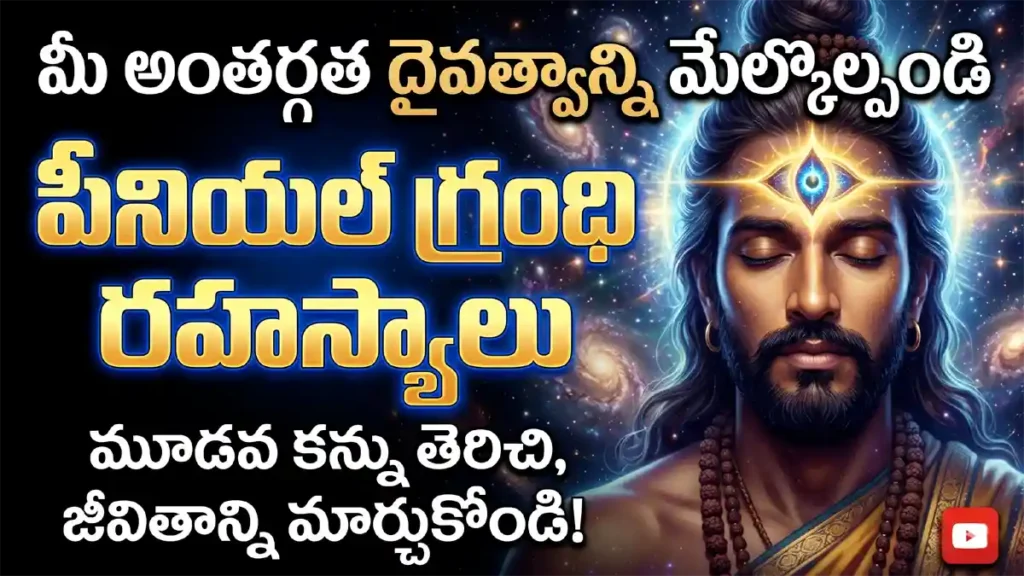 పీనియల్ గ్రంథి మరియు మూడవ కన్ను రహస్యాలు - Pineal Gland Secrets ramthamedia.com