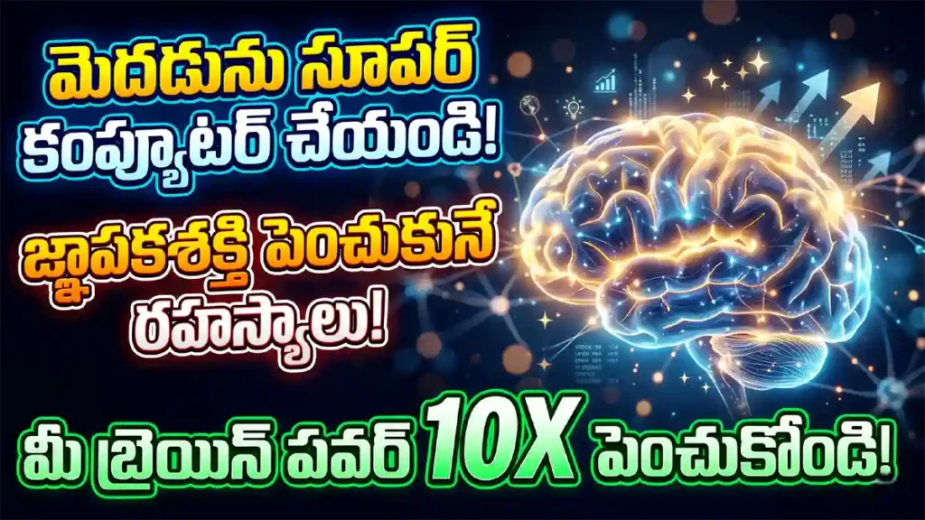 మెదడు సామర్థ్యం పెంచే మార్గాలు - Brain Power Secrets ramthamedia.com