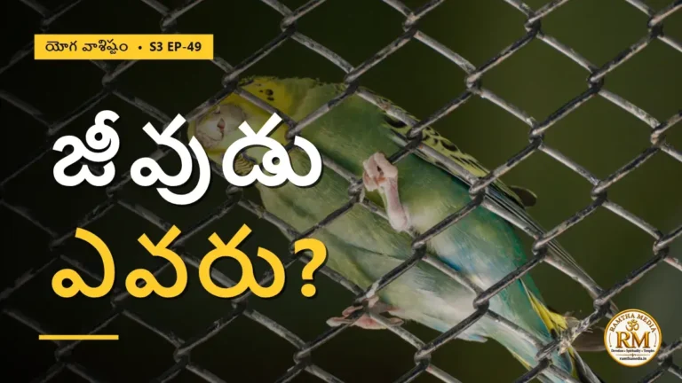 జీవుడు అంటే ఎవరు? భ్రమలో చిక్కుకున్న చైతన్య రహస్యం | యోగ వాశిష్టం S3 EP-49 | Yoga Vasistha