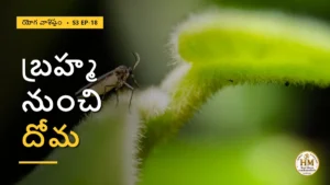బ్రహ్మ నుంచి దోమ వరకు లీలాదేవి ప్రయాణం ఏం చెబుతుంది? | యోగ వాశిష్టం S3 EP-18 | Yoga Vasistha