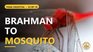 What Does Leeladevi's Journey from Brahman to a Mosquito Reveal? | Yoga Vasistha S3 EP-18
