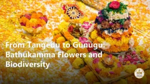 From Tangedu to Gunugu: Bathukamma Flowers and Biodiversity
