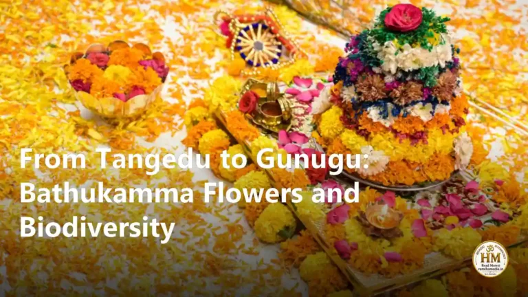 From Tangedu to Gunugu: Bathukamma Flowers and Biodiversity