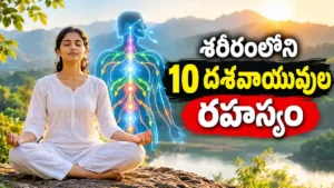 దశవాయువులు మరియు శరీరంలోని పది ప్రాణ వాయువుల పనితీరును తెలిపే ఆయుర్వేద ప్రాణాయామ సాధన